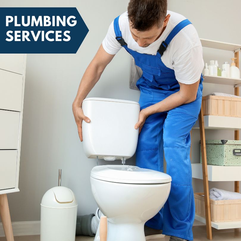 Plumbing Company in Apollo Beach, FL